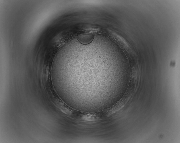 X0000096980761200802151330