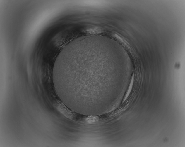 X0000096980762200802151330