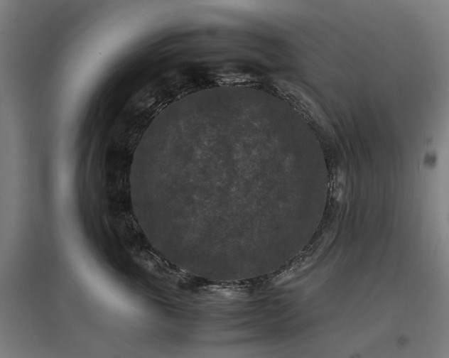 X0000096980763200802151330