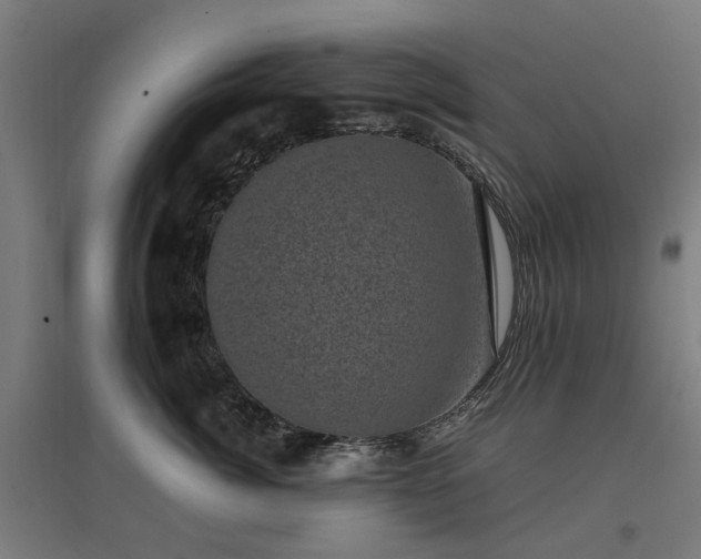 X0000096980764200802151330