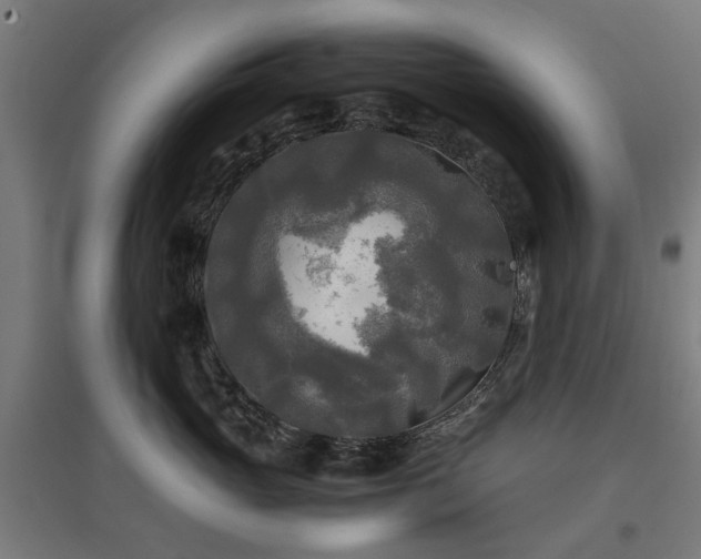 X0000096980765200802151330