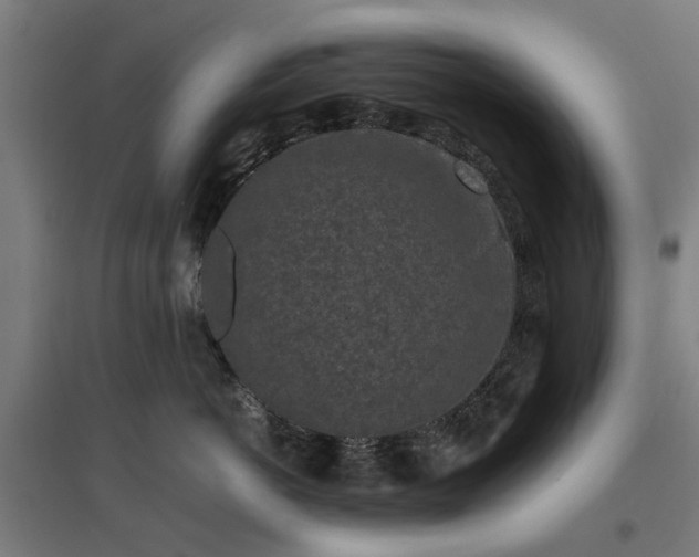 X0000096980766200802151330