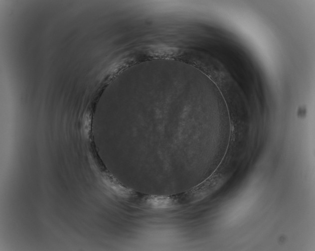 X0000096980767200802151330