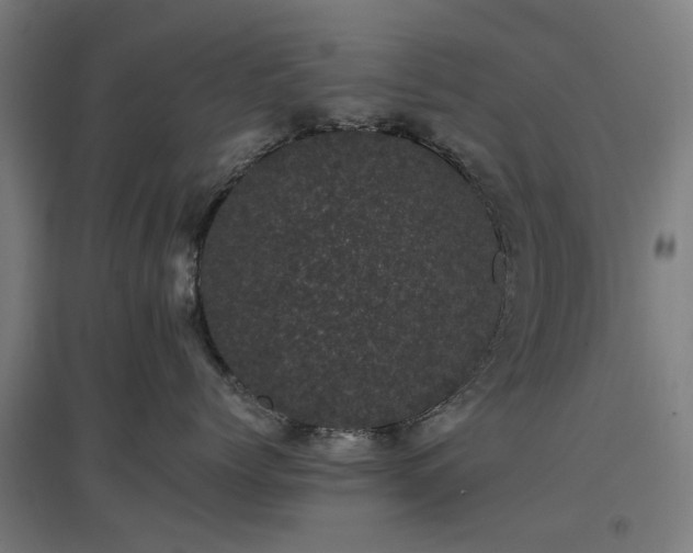 X0000096980768200802151330