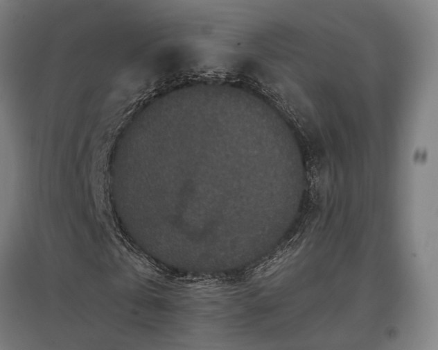 X0000096980769200802151329