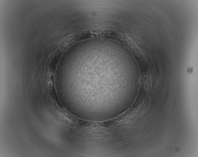 X0000096980770200802151329