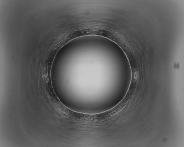 X0000096980771200802151329