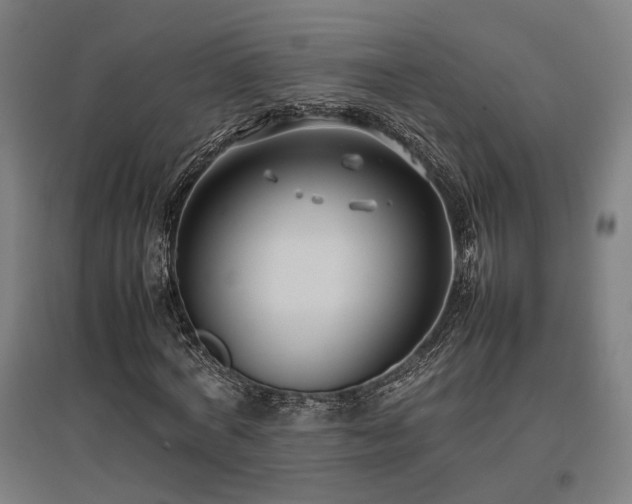 X0000096980772200802151329