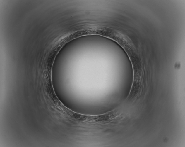 X0000096980773200802151329