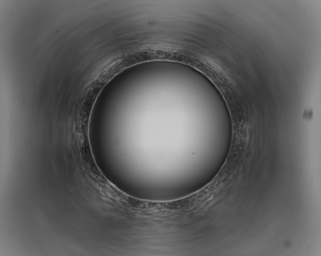 X0000096980774200802151329