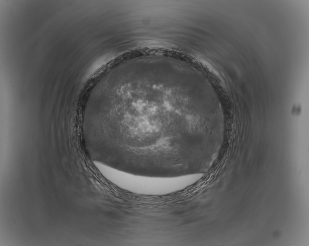 X0000096980775200802151329