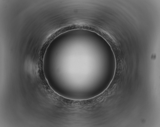 X0000096980776200802151329