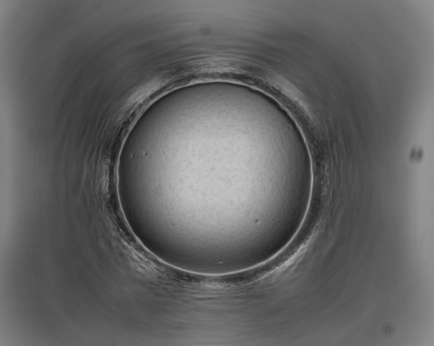 X0000096980777200802151329