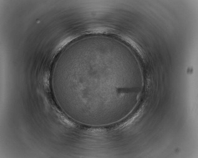 X0000096980778200802151329