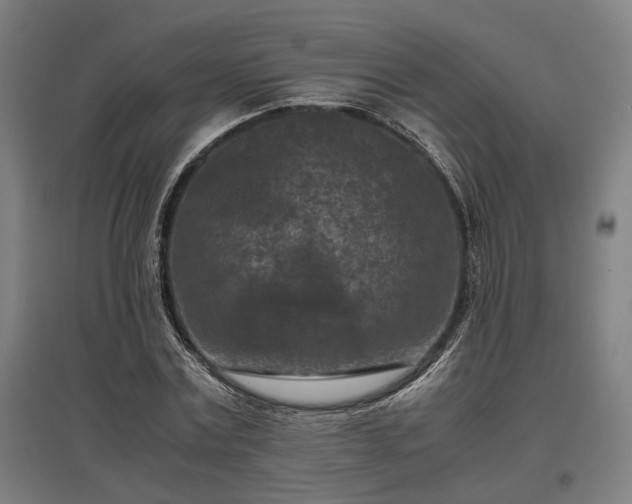 X0000096980779200802151329