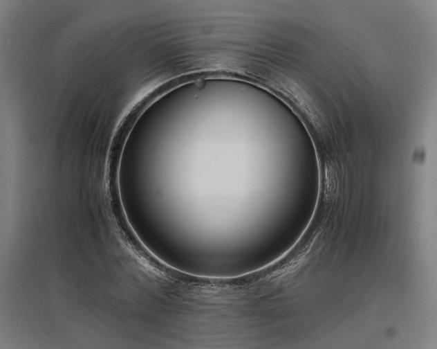 X0000096980780200802151329