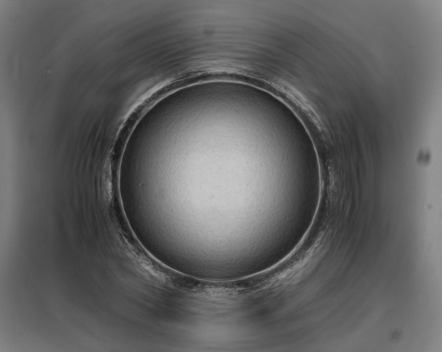 X0000096980782200802151329