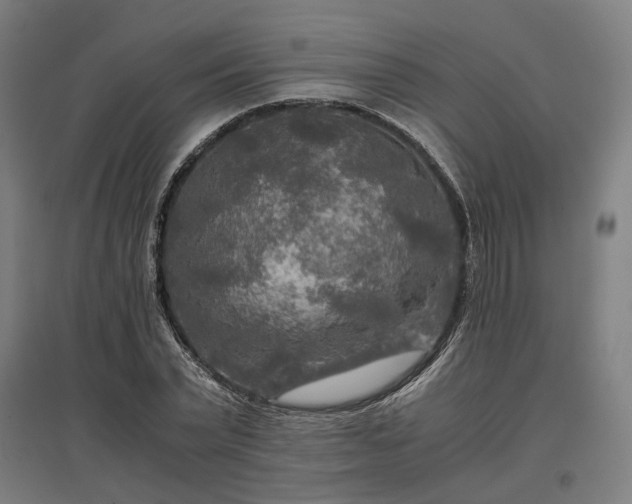 X0000096980783200802151329