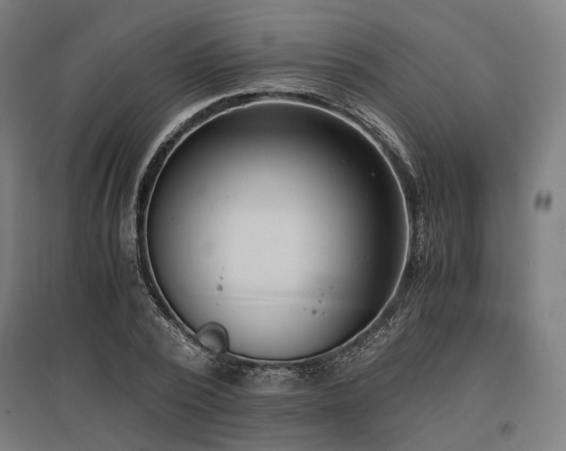 X0000096980784200802151329