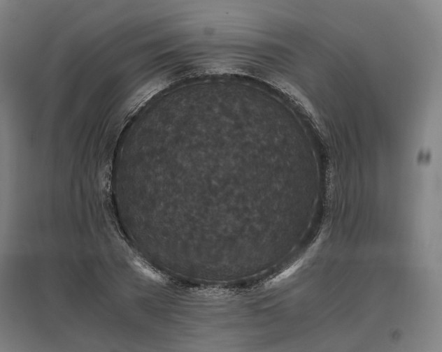 X0000096980785200802151329