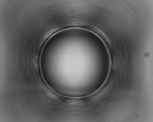 X0000096980786200802151329