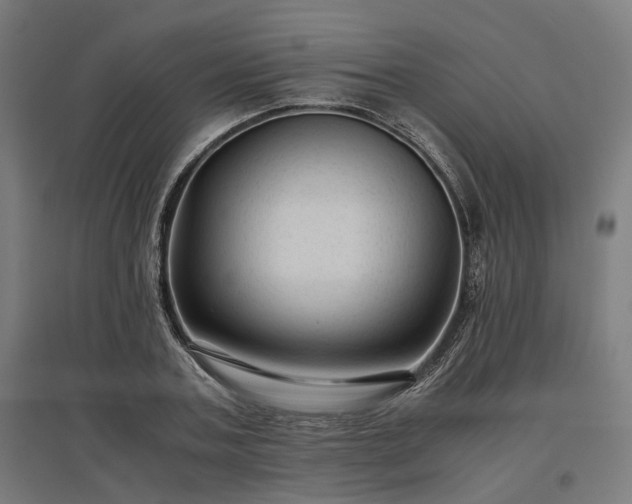 X0000096980787200802151329