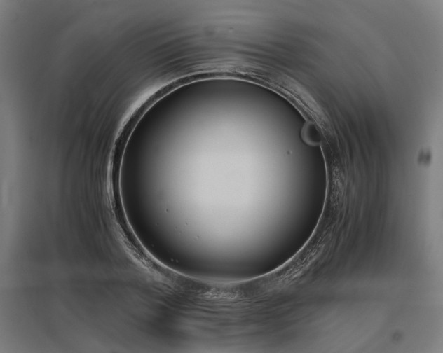 X0000096980788200802151329