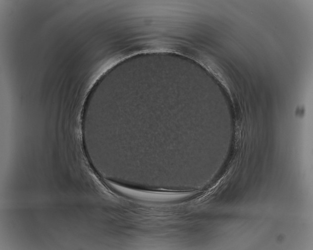 X0000096980789200802151329