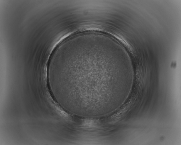 X0000096980790200802151329