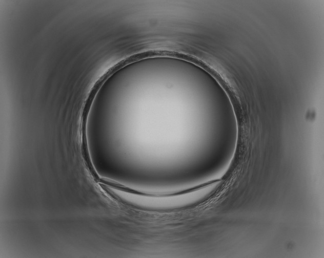 X0000096980791200802151329