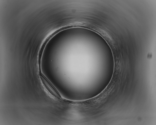 X0000096980792200802151329