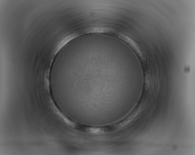 X0000096980794200802151329