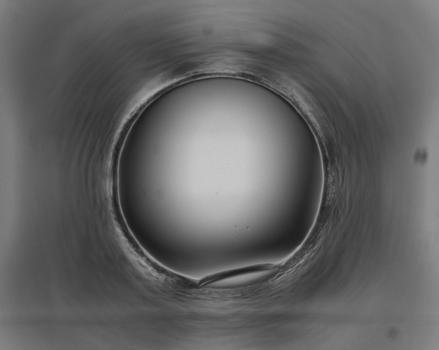 X0000096980795200802151329