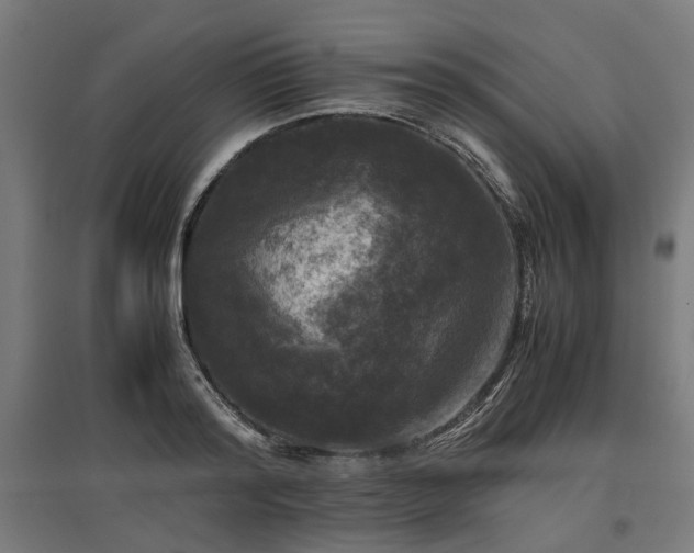 X0000096980796200802151329