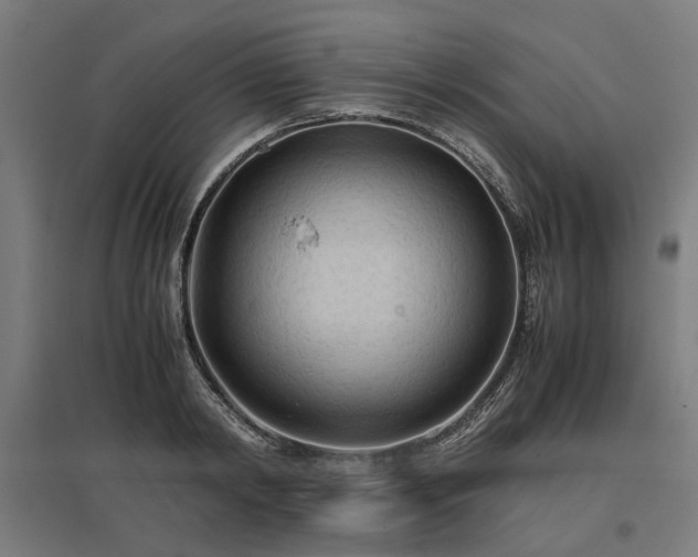 X0000096980798200802151329