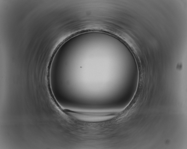 X0000096980799200802151329