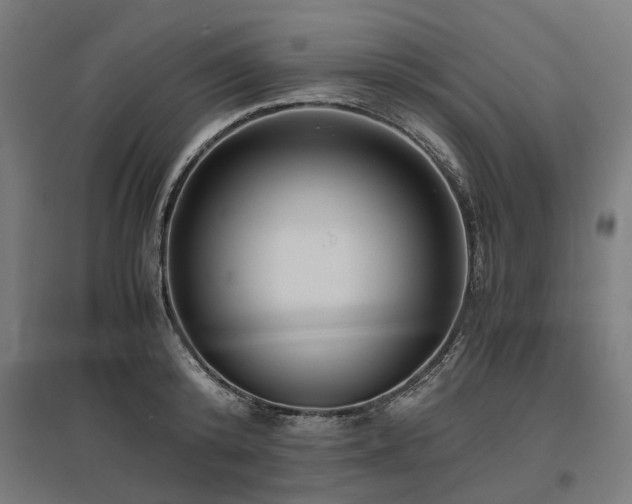 X0000096980800200802151329