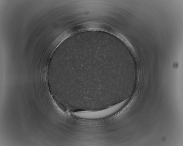 X0000096980801200802151329