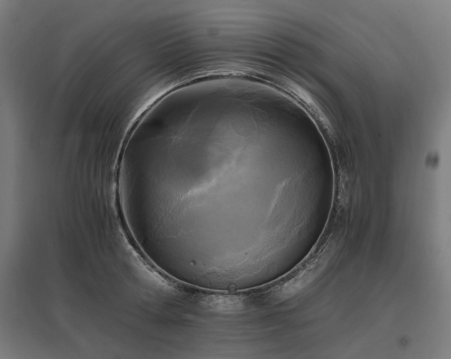 X0000096980802200802151329