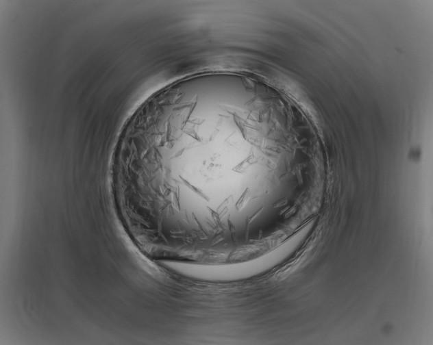 X0000096980803200802151329