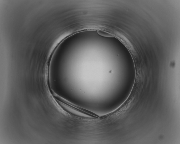 X0000096980804200802151329