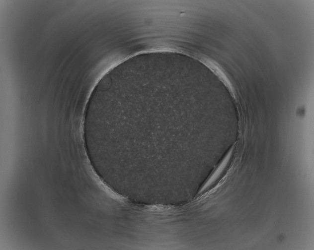 X0000096980805200802151329