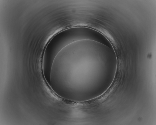 X0000096980806200802151329