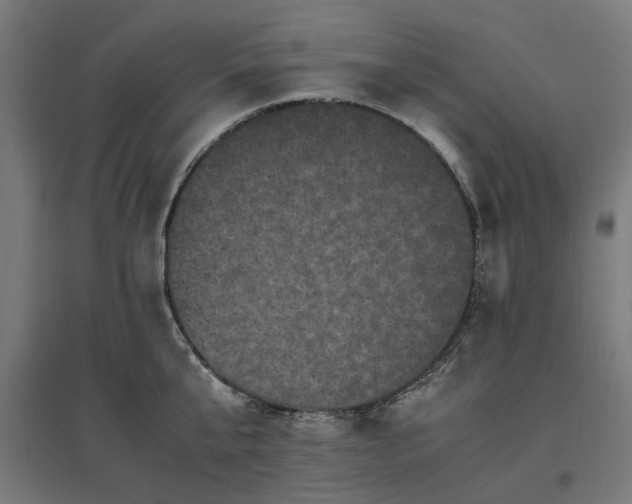 X0000096980807200802151329