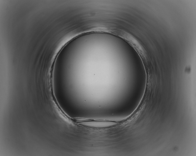 X0000096980808200802151329