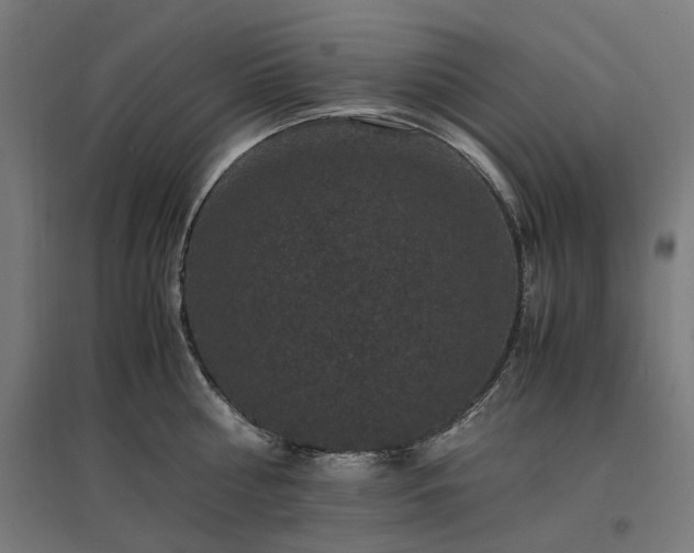 X0000096980810200802151329