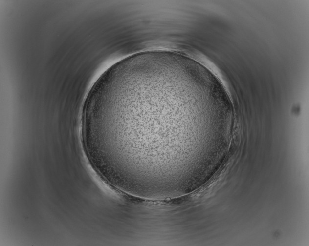 X0000096980811200802151329