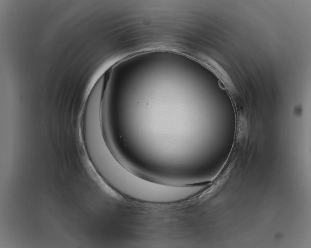 X0000096980812200802151329