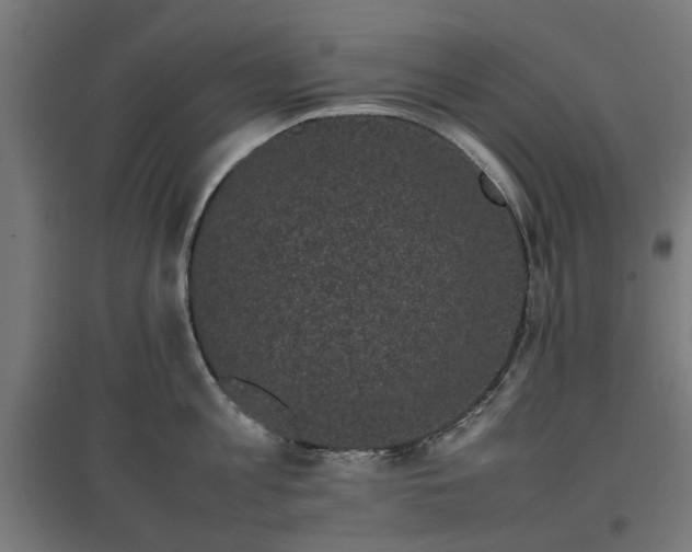 X0000096980813200802151329