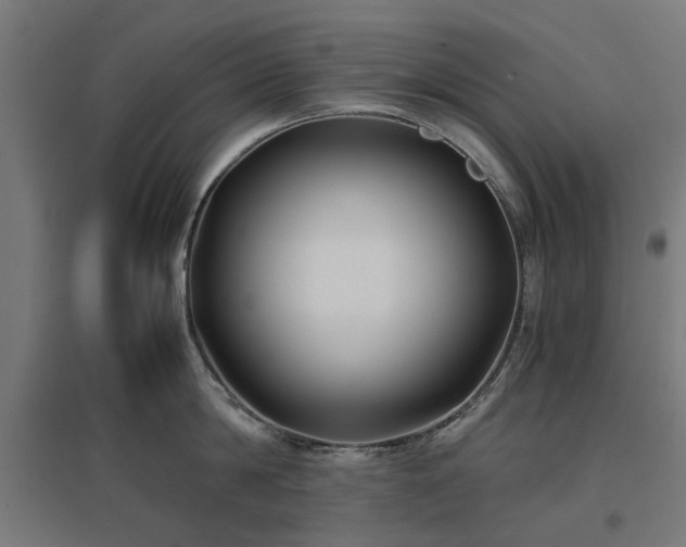 X0000096980814200802151329